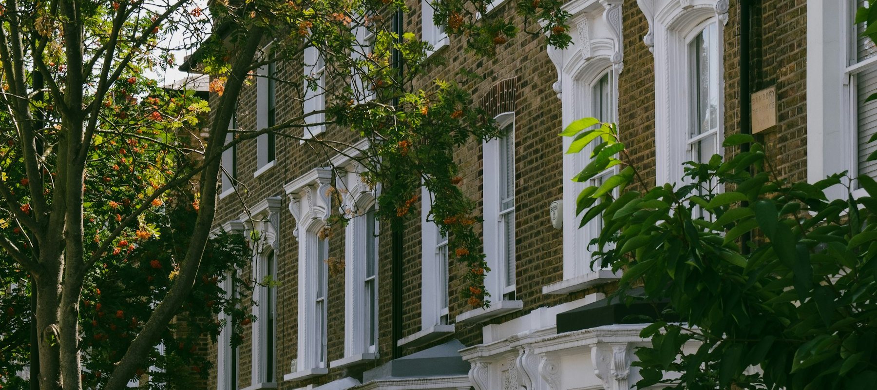 London terraced houses behind street trees